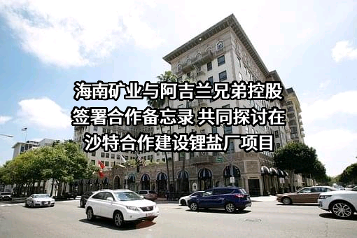 海南矿业股份有限公司