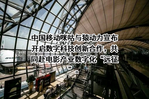 新疆猿动力娱乐有限责任公司