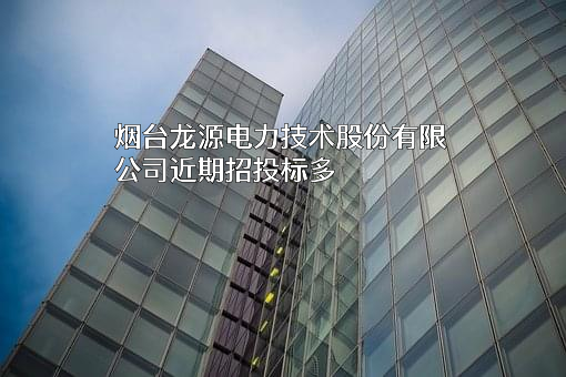 烟台龙源电力技术股份有限公司
