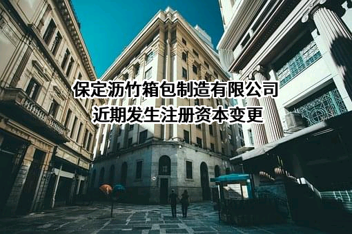 保定沥竹箱包制造有限公司