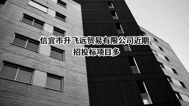 信宜市升飞远贸易有限公司近期招投标项目多