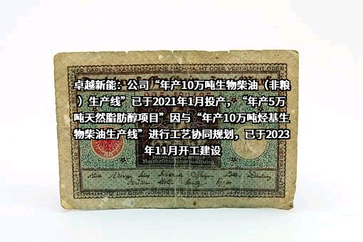龙岩卓越新能源股份有限公司