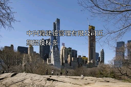 中兴豫建设管理有限公司