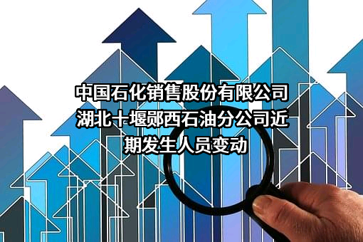 中国石化销售股份有限公司湖北十堰郧西石油分公司