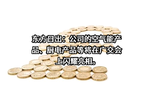 日出东方控股股份有限公司