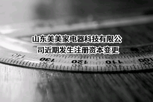 山东美美家电器科技有限公司
