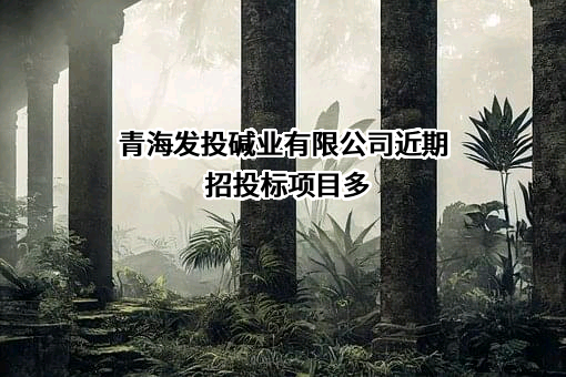 青海发投碱业有限公司