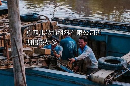 广西北港新材料有限公司