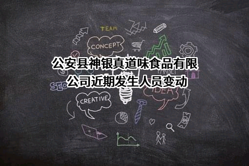 公安县神银真道味食品有限公司