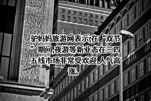上海飞驴湾文化传播股份有限公司