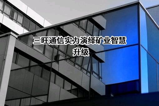 深圳市三旺通信股份有限公司