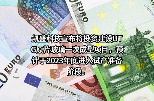 凯盛科技股份有限公司