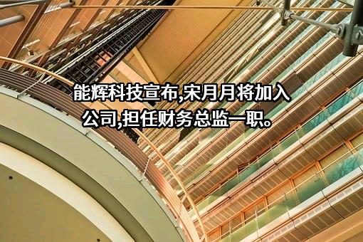 上海能辉科技股份有限公司