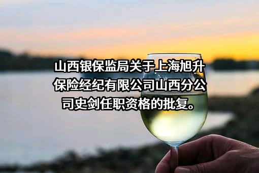 上海旭升保险经纪有限公司
