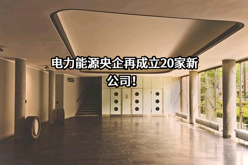 华能（漳州）清洁能源有限责任公司