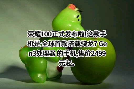 荣耀终端有限公司