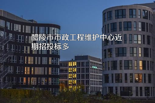 醴陵市市政工程维护中心