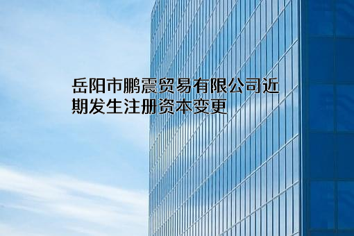 岳阳市鹏震贸易有限公司