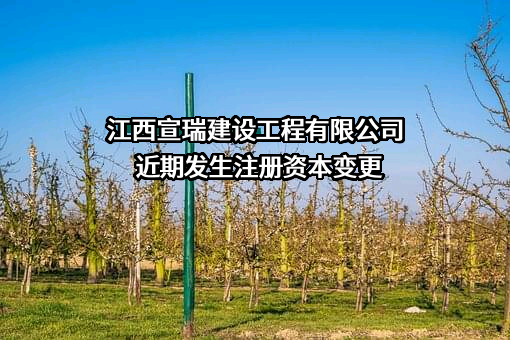 江西宣瑞建设工程有限公司