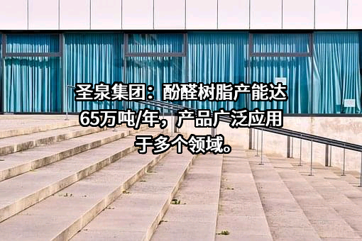 济南圣泉集团股份有限公司