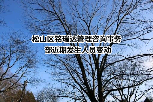 松山区铭瑞达管理咨询事务部