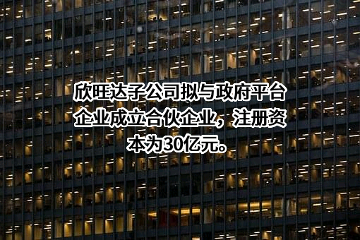 欣旺达电动汽车电池有限公司