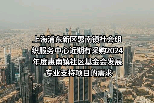 上海浦东新区惠南镇社会组织服务中心近期有采购2024年度惠南镇社区基金会发展专业支持项目的需求