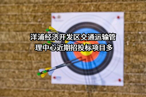 洋浦经济开发区交通运输管理中心