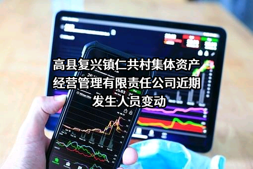 高县复兴镇仁共村集体资产经营管理有限责任公司