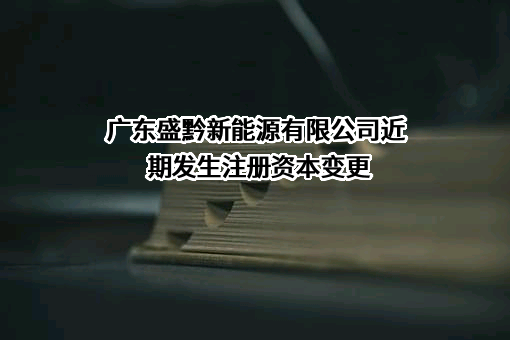 广东盛黔新能源有限公司
