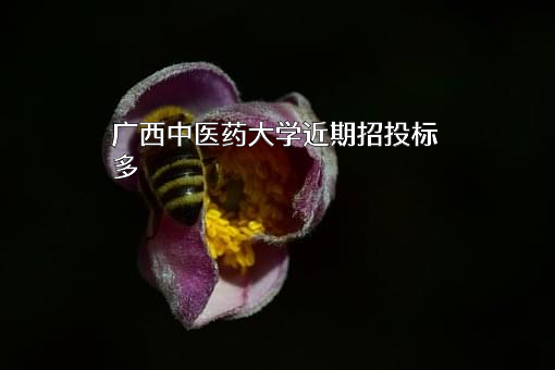 广西中医药大学