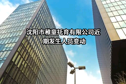 沈阳市稚童托育有限公司