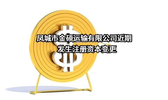 凤城市金硕运输有限公司