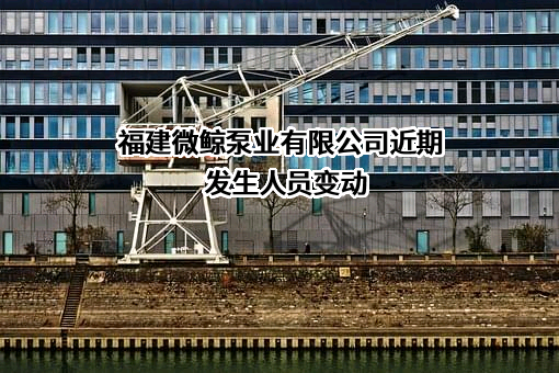 福建微鲸泵业有限公司