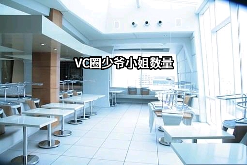 VC圈少爷小姐数量