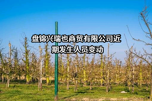 盘锦兴瑞也商贸有限公司