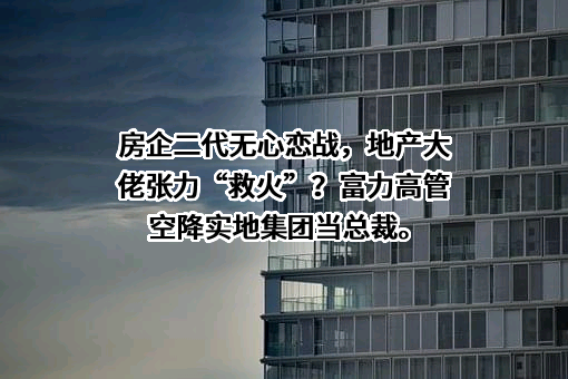 实地地产集团有限公司