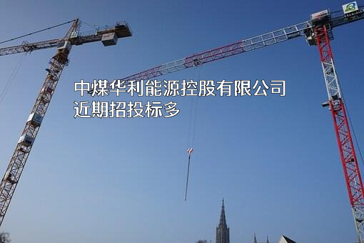 中煤华利能源控股有限公司