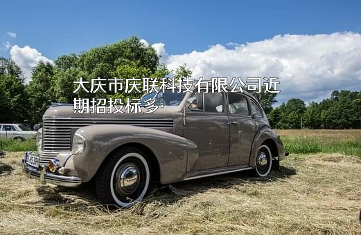 大庆市庆联科技有限公司