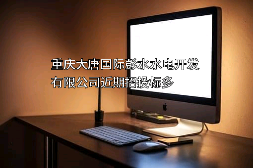 重庆大唐国际彭水水电开发有限公司