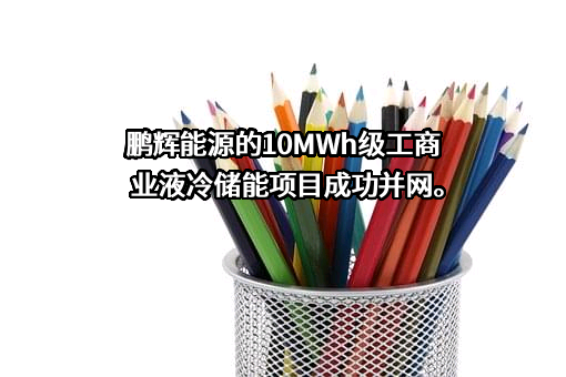 广州鹏辉能源科技股份有限公司
