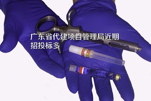 广东省代建项目管理局