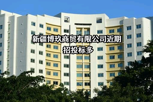 新疆博玖商贸有限公司
