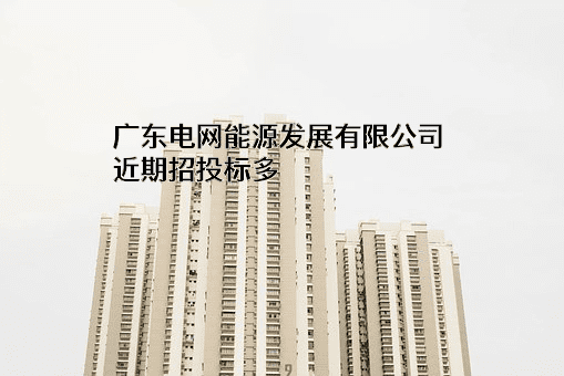 广东电网能源发展有限公司