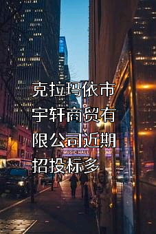克拉玛依市宇轩商贸有限公司