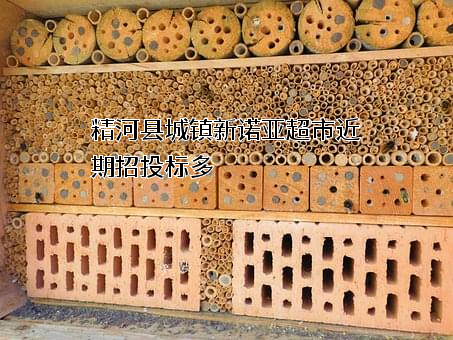 精河县城镇新诺亚超市