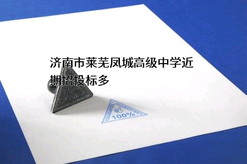 济南市莱芜凤城高级中学