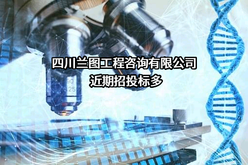 四川兰图工程咨询有限公司