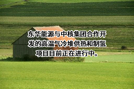 东华能源股份有限公司