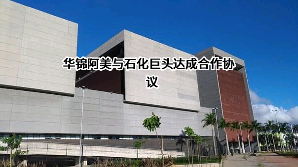 华锦阿美石油化工有限公司
